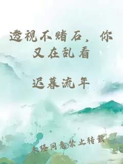 透視不賭石，你又在亂看