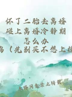 懷了二胎去離婚碰上離婚冷靜期怎么辦