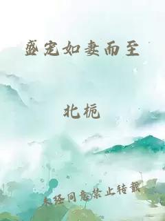 盛寵如妻而至